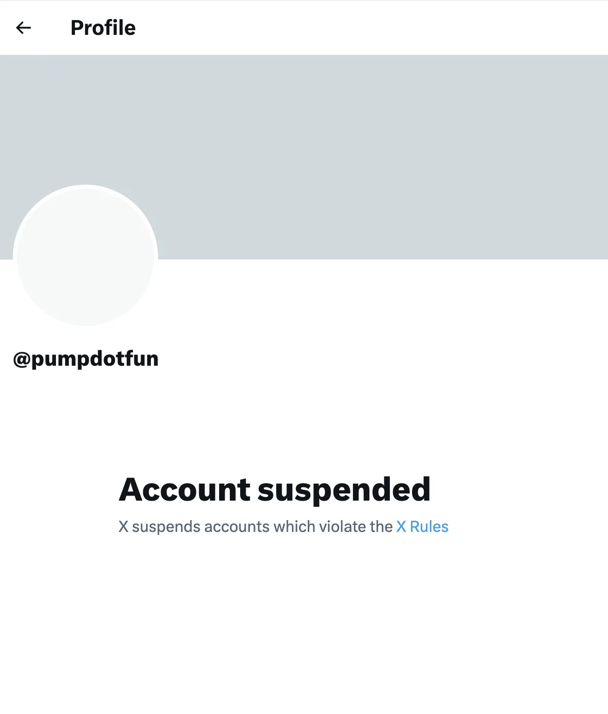 Pump.fun's suspected x account